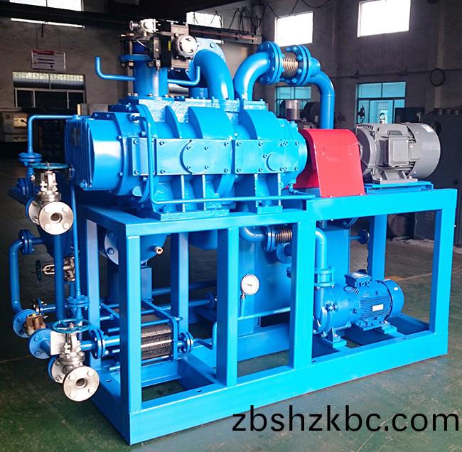 儸(luo)茨真空(kong)泵(beng)